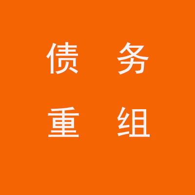 南皮个人债务重组优化
